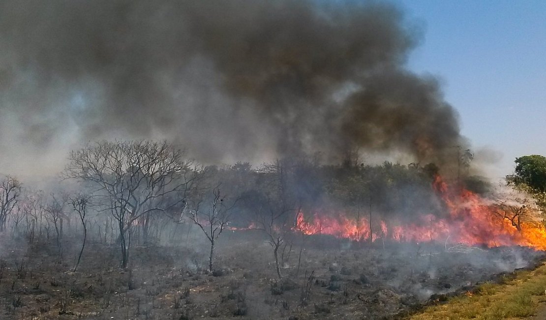 Governadores da Amazônia pedem reunião em caráter de urgência com Bolsonaro para tratar de queimadas 