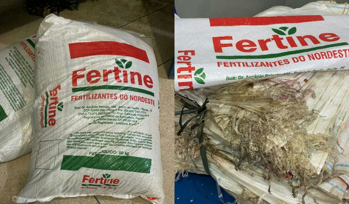 Operação desarticula grupo envolvido de desviar fertilizantes no Porto de Maceió