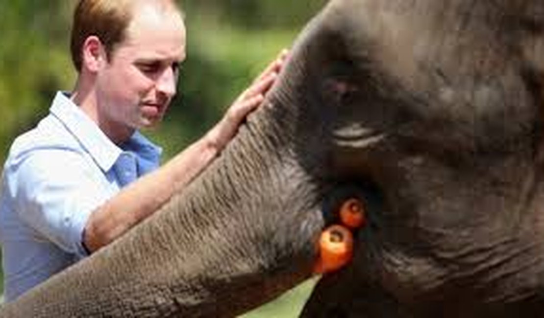 Príncipe William é criticado ao levar George, de 7 anos, para caçar animais