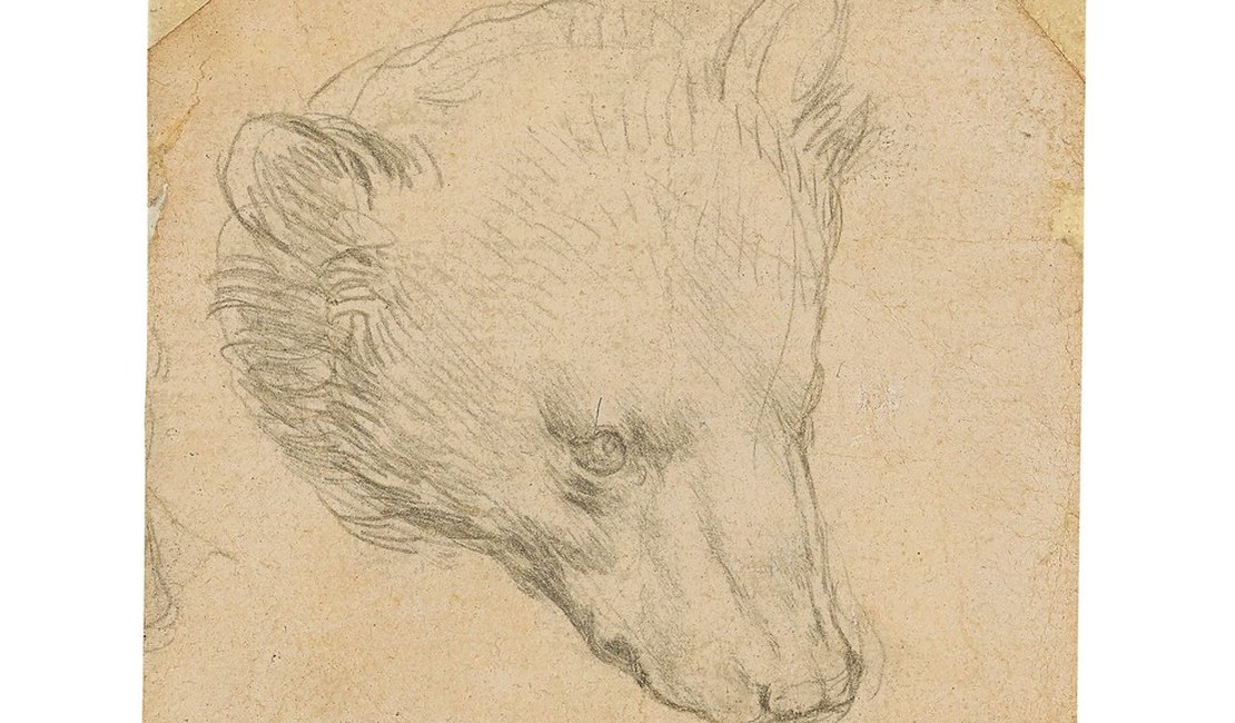 'Cabeça de Urso' de Da Vinci pode chegar a US$ 16 milhões em leilão que será realizado em julho