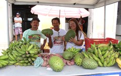 Porto Calvo promove 3ª edição da Feira da Agricultura Familiar