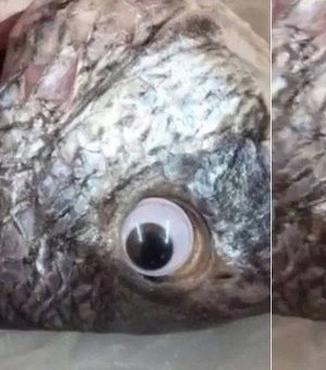 Vendedor põe olho falso em peixe para deixar produto 'mais fresco'