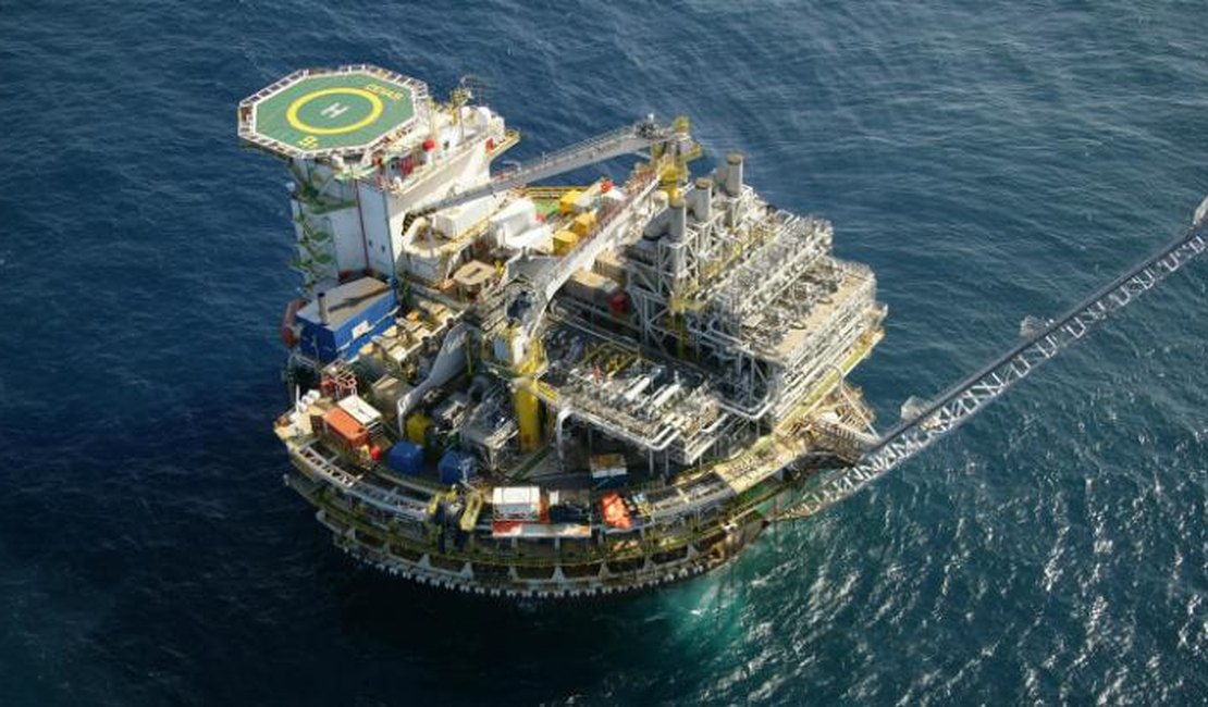 Petrobras vai converter multa em serviços ambientais