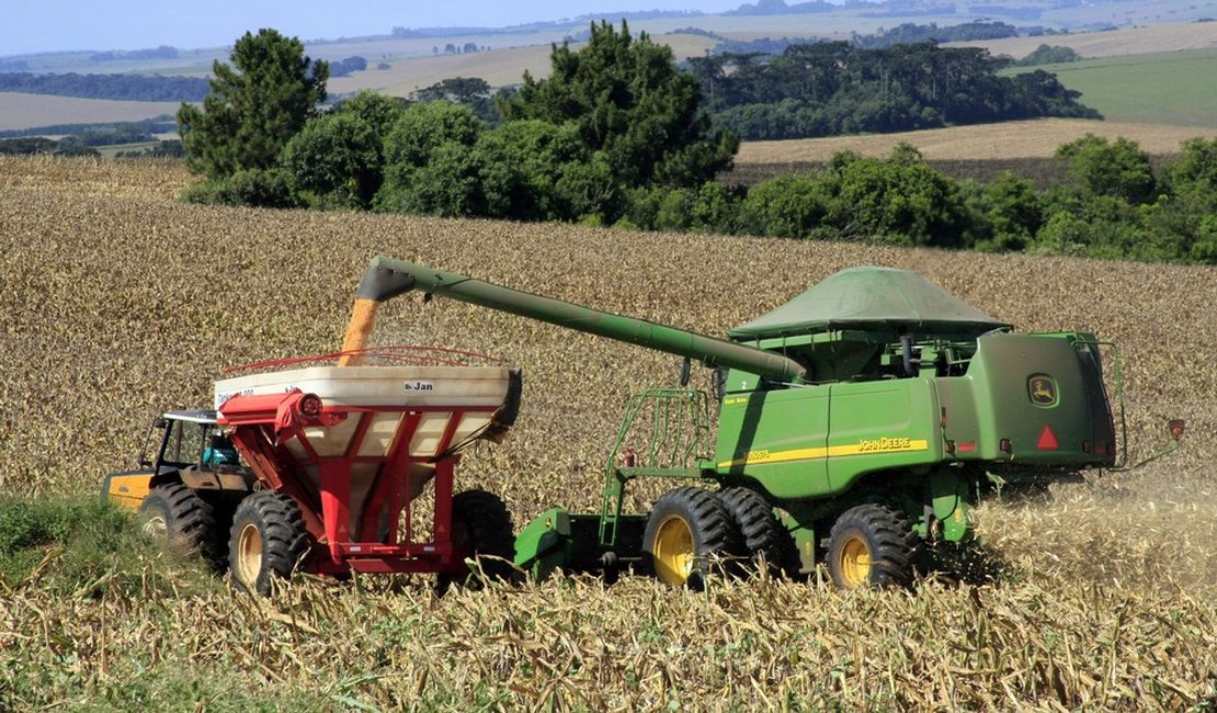Governo projeta salto de 30% na produção de grãos do Brasil em 10 anos