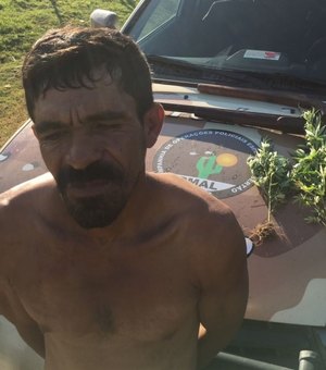 Polícia prende homem acusado de plantar maconha