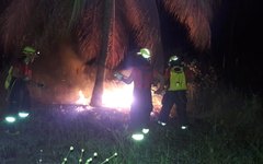 Vegetação entra em chamas na região central de Porto de Pedras