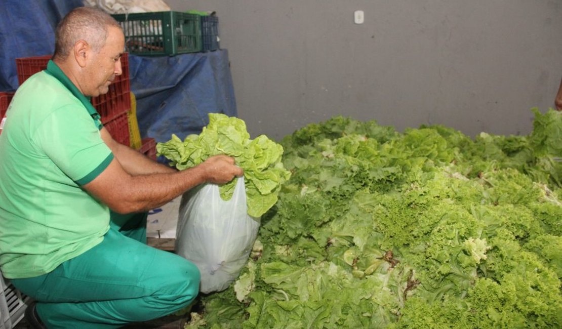 Prefeitura de Arapiraca abre chamada para agricultores familiares e entidades socioassistenciais
