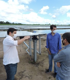 Energia solar produzida por miniusinas do Litoral Sul de Alagoas serão consumidas pela Casal
