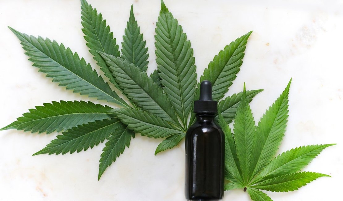 Saúde pode incluir no SUS drogas à base de canabidiol