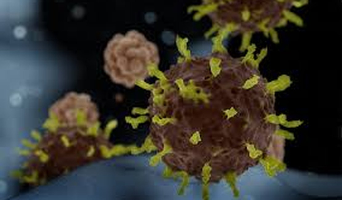 Estudo descobre 21 remédios que bloqueiam coronavírus