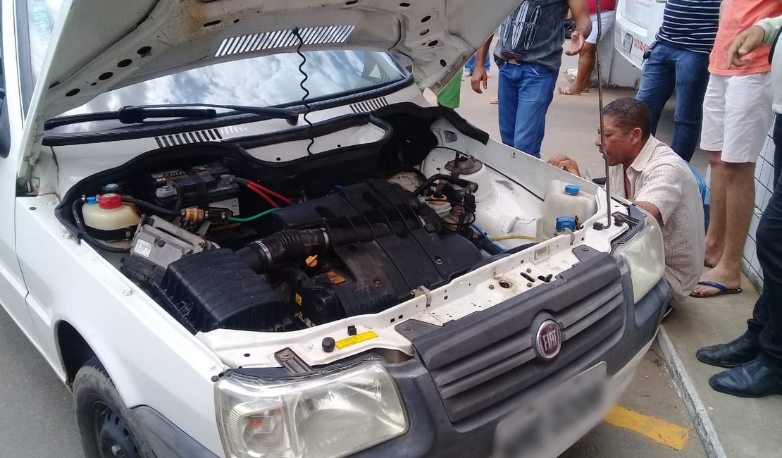 Cobra é achada dentro de carro no estacionamento do Hospital Chama, em Arapiraca