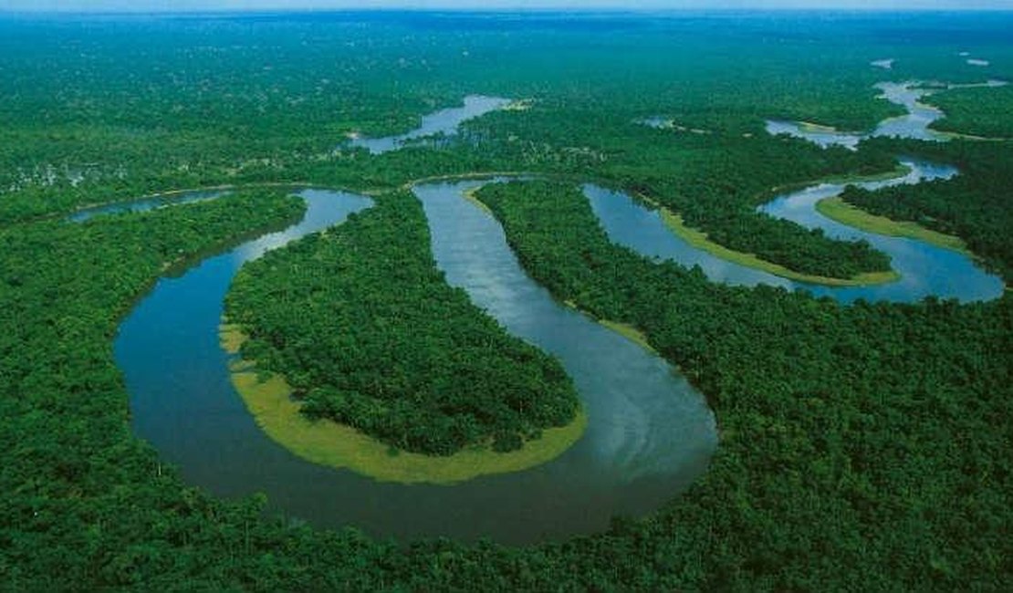 Amazônia perde proteção e ambientalistas acusam Temer e agronegócio