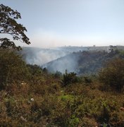 População se assusta com incêndio em vegetação e acionam bombeiros