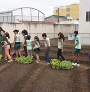 Projeto piloto de horta urbana é implantado em escola de Palmeira