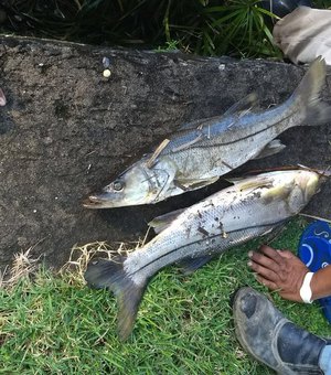 Casal é autuada por morte de peixes na Lagoa da Anta