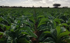 Agricultores girauenses são beneficiados com programa de preparo do solo
