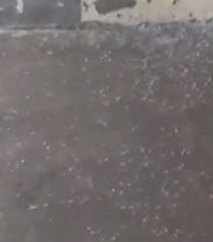 Em Mata Grande moradores registram chuva de granizo