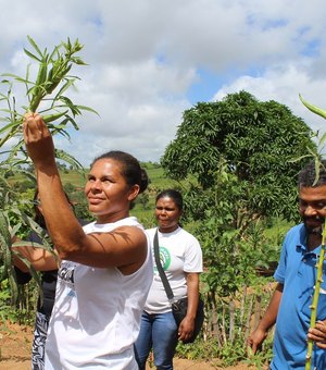 Prefeitura orienta produção de hortaliças em comunidade remanescente quilombola