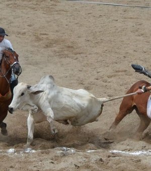 Alagoas retoma treinamentos e competições de esportes equestres