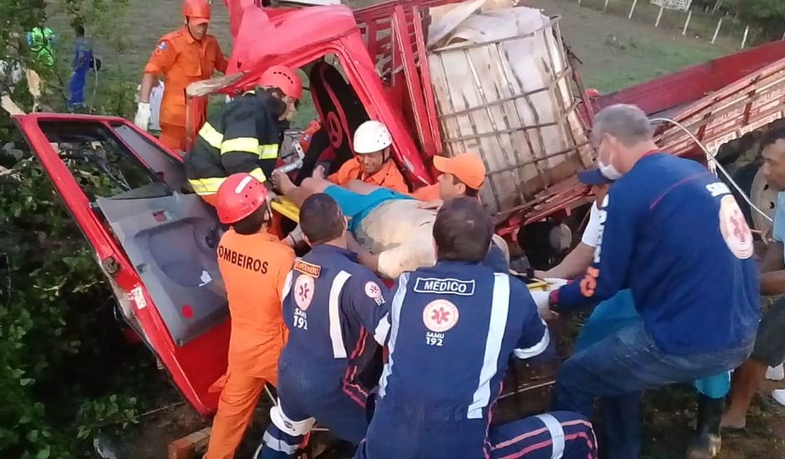 [Vídeo] Caminhão colide em animal e vítimas ficam presas na cabine em Arapiraca