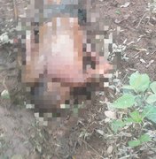 Corpo de homem é achado na zona rural do Passo de Camaragibe