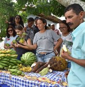 Prefeitura publica Chamada Pública para agricultura familiar