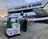 Avião que transportava vacina colide com jumento em aeroporto na Bahia