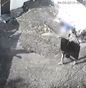 [Vídeo] Imagens mostram dupla atirando em vítimas para roubar televisão