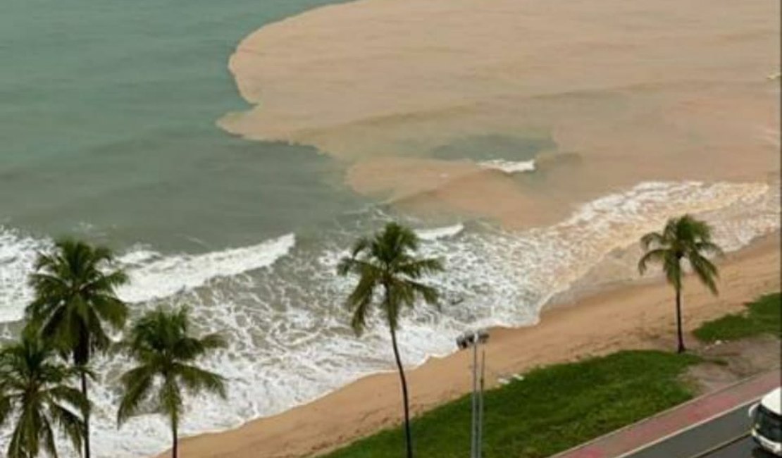 Relatório do IMA indica 11 praias impróprias para banho em Maceió e Litoral Sul