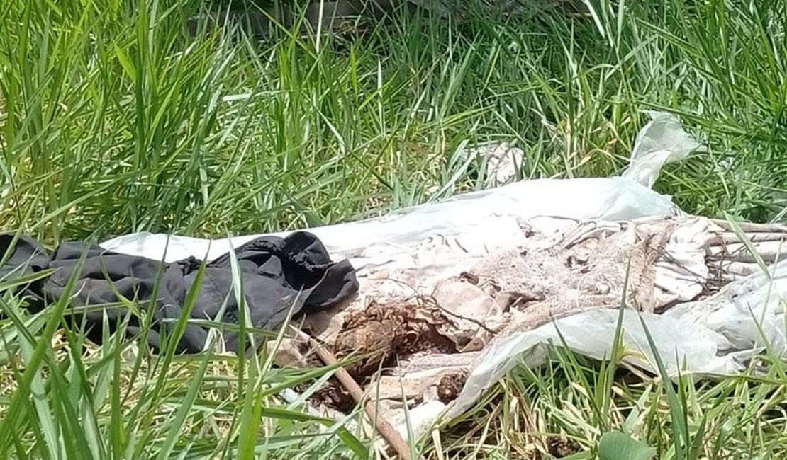 Caixão encontrado na zona rural de Mata Grande foi descartado de forma irregular para desocupar túmulo