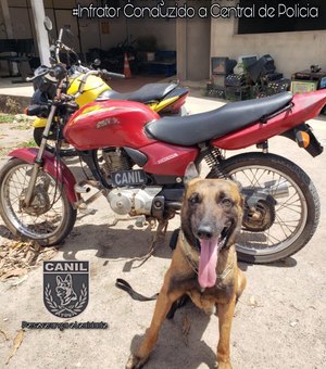 Após perseguição, adolescentes são apreendidos com motocicleta roubada em Arapiraca