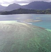 Contra degradação dos recifes de coral, Havaí quer regular protetores solares