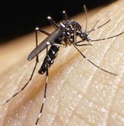 Sesau discute zika vírus e microcefalia com gestores municipais de saúde