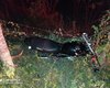 Motociclista morre após veículo invadir contramão e se chocar contra árvore