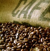 Tecnologia aumenta a produtividade e a rentabilidade do café no Brasil