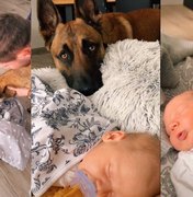 Cachorro reage a chegada de bebê e viraliza na internet; veja vídeo