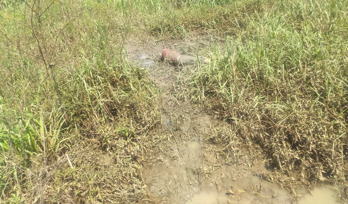 Corpo em estado de decomposição é encontrado em São Luís do Quitunde
