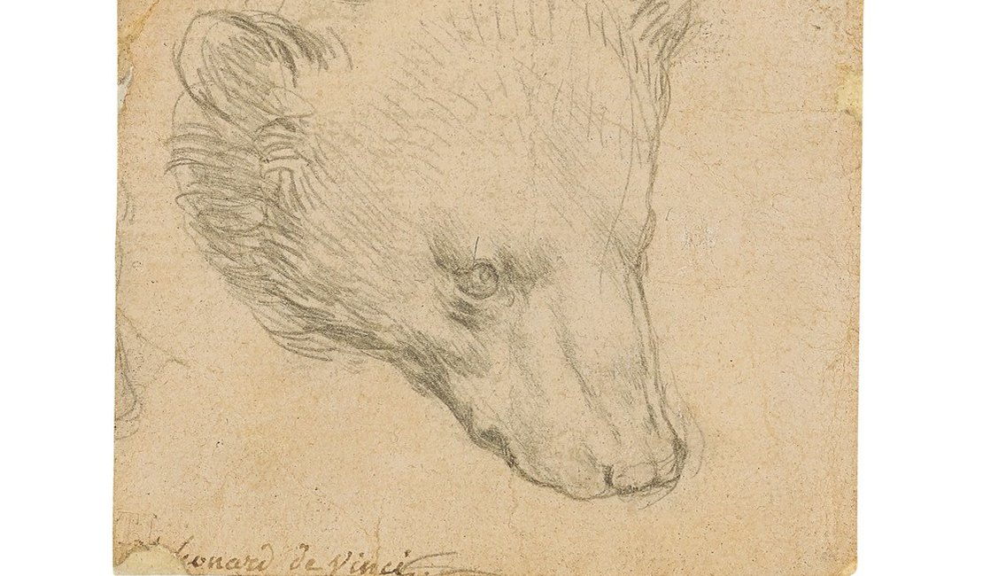 'Cabeça de Urso' de Da Vinci pode chegar a US$ 16 milhões em leilão que será realizado em julho