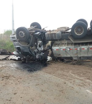 Caminhão capota após colidir com vacas que atravessavam rodovia