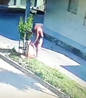 [VÍDEO] Jovem de 18 anos mata amigo e joga corpo em matagal em São Miguel dos Campos