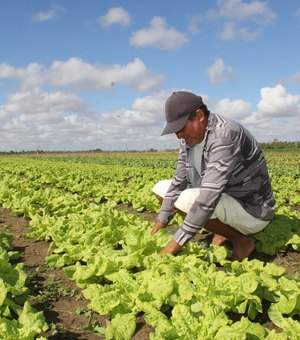 Programa de Aquisição de Alimentos beneficiará 1. 875 agricultores familiares
