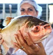 Nova edição da Feira do Peixe Vivo começa nesta sexta-feira, em Marechal Deodoro