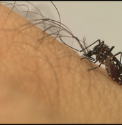 Casos de Dengue em Alagoas passam dos 1.800, chickungunya e zyka caem