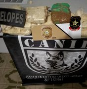 [Vídeo] Drogas avaliadas em R$ 300 mil são encontradas enterradas em casa de traficante
