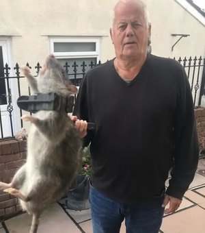 Homem encontra rato do tamanho de um cachorro no quintal de casa, na Inglaterra