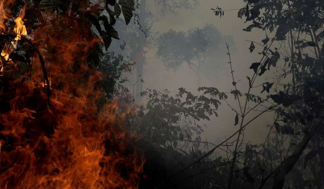 Após proibição de queimadas, Amazônia segue pegando fogo