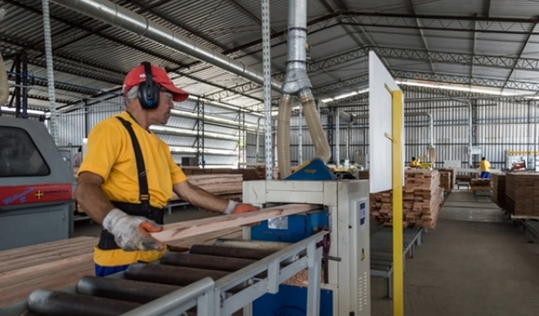 Governo estima que mais de 30 empresas se instalem em Alagoas em dois anos