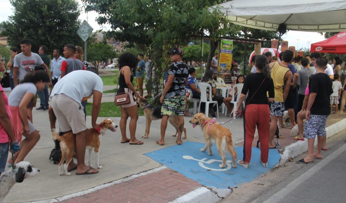 Feira de adoção de animais acontece neste domingo (17) em Arapiraca