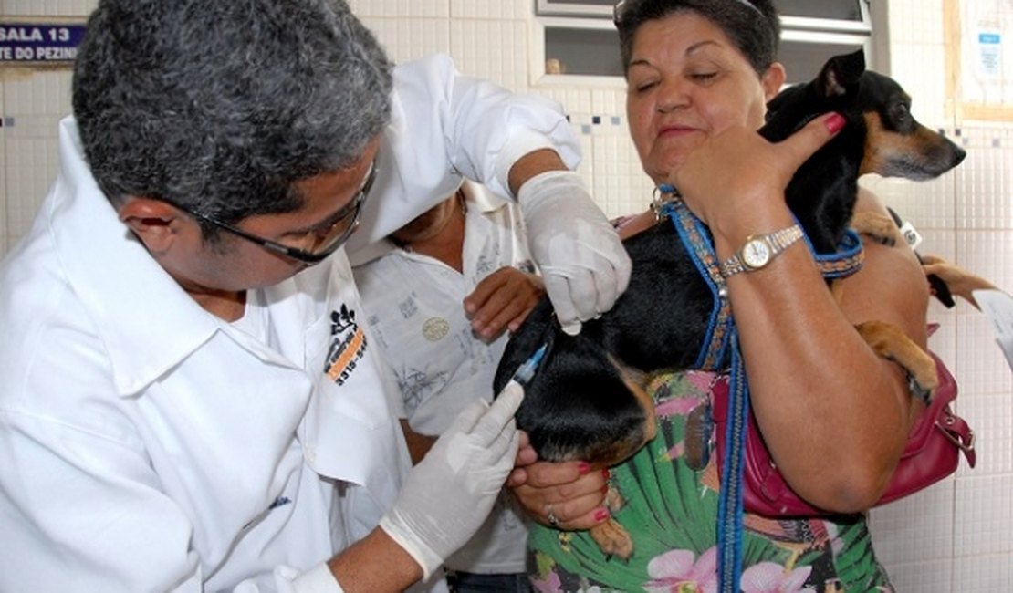 Centro de Controle de Zoonoses disponibiliza gratuitamente vacina antirrábica