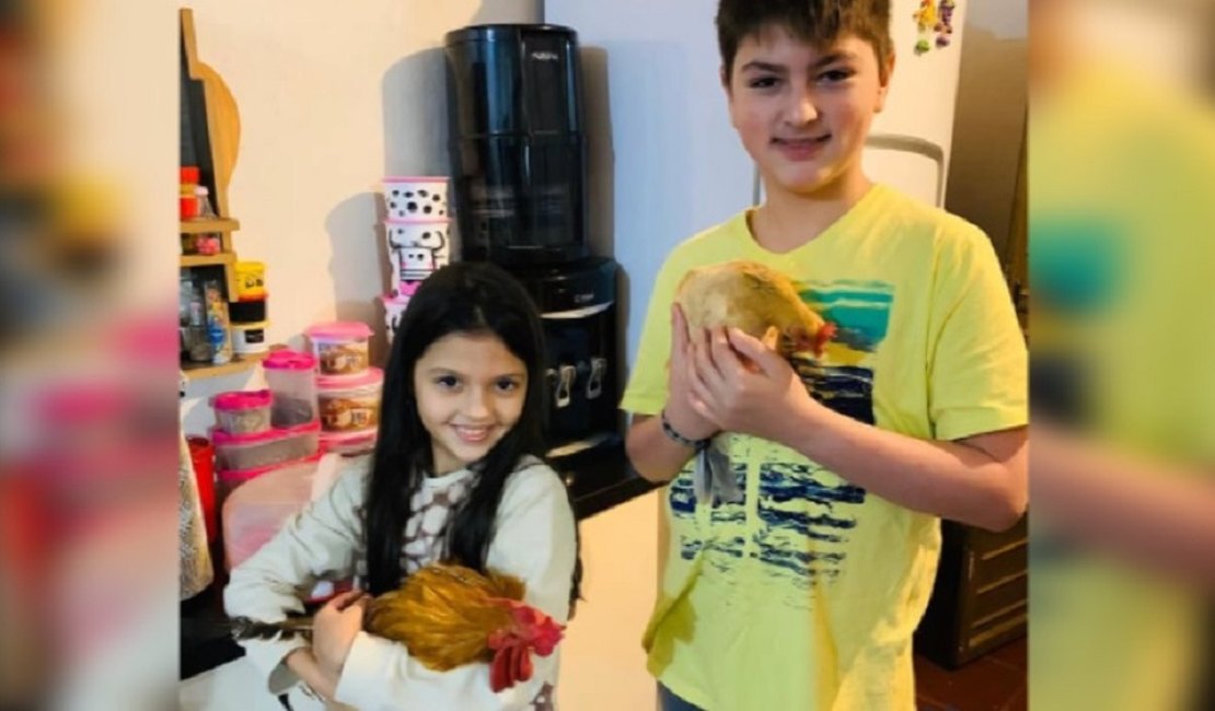 Família que adotou galo e galinha para criança autista é intimada a se desfazer dos animais